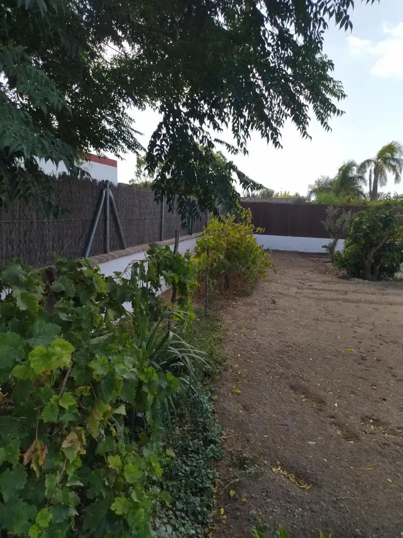 Villa avec piscine à vendre à Barrio Nuevo, imagen 41