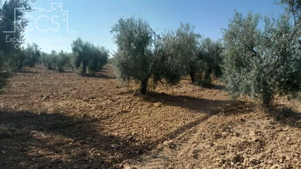 Terreno rustico in vendita a Almonte ciudad, imagen 8