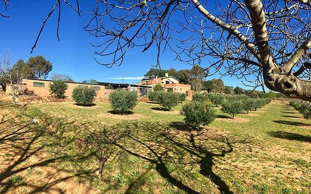 Finca rústica en Venta en Cistella