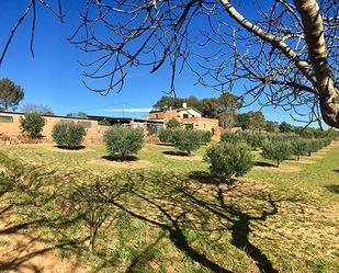 Jardí de Finca rústica en venda en Cistella