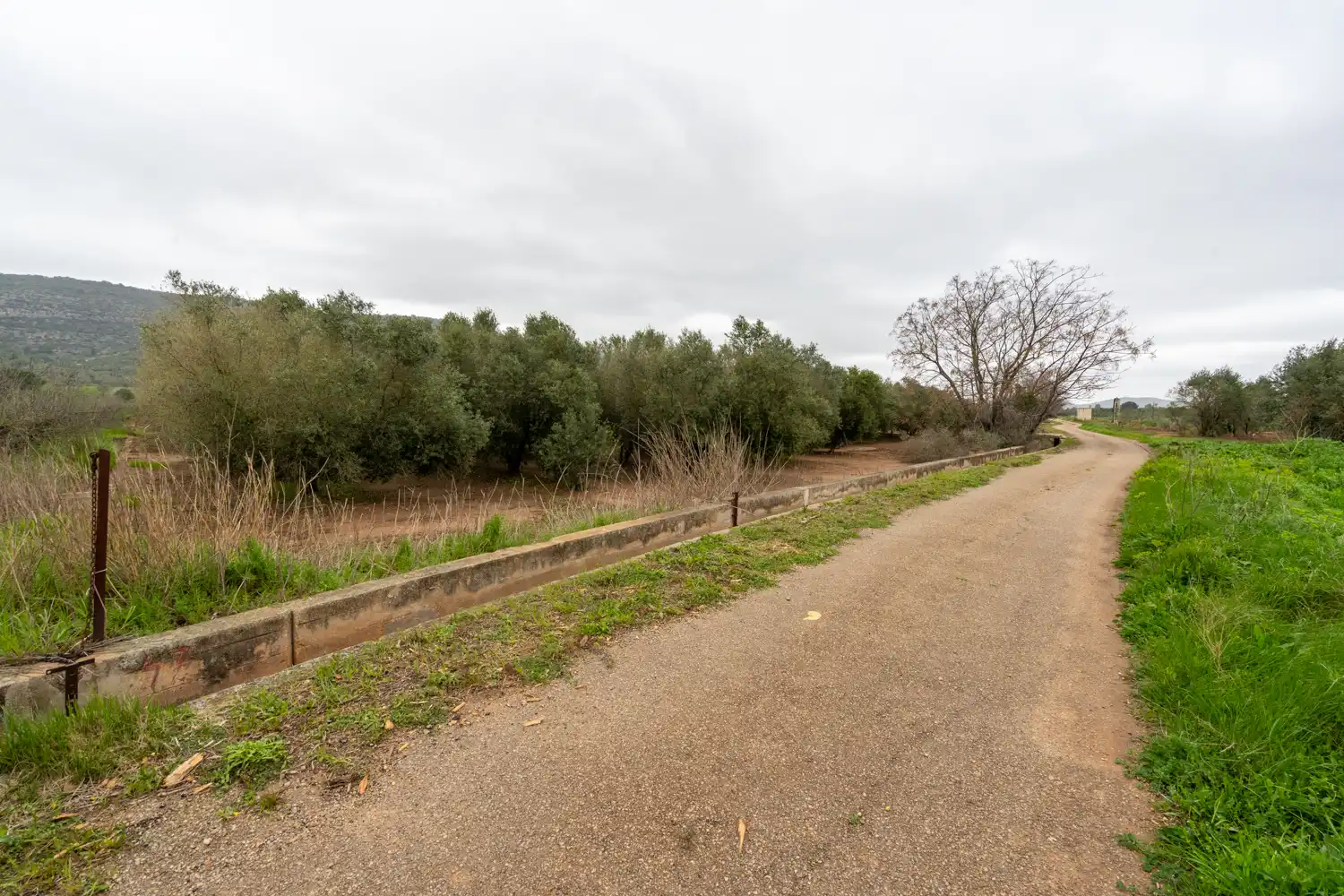 Rural land for sale in Godall, imagen 7