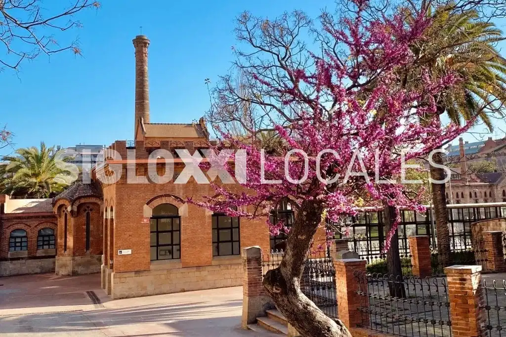 Local comercial en venta en ENTENÇA, imagen 7