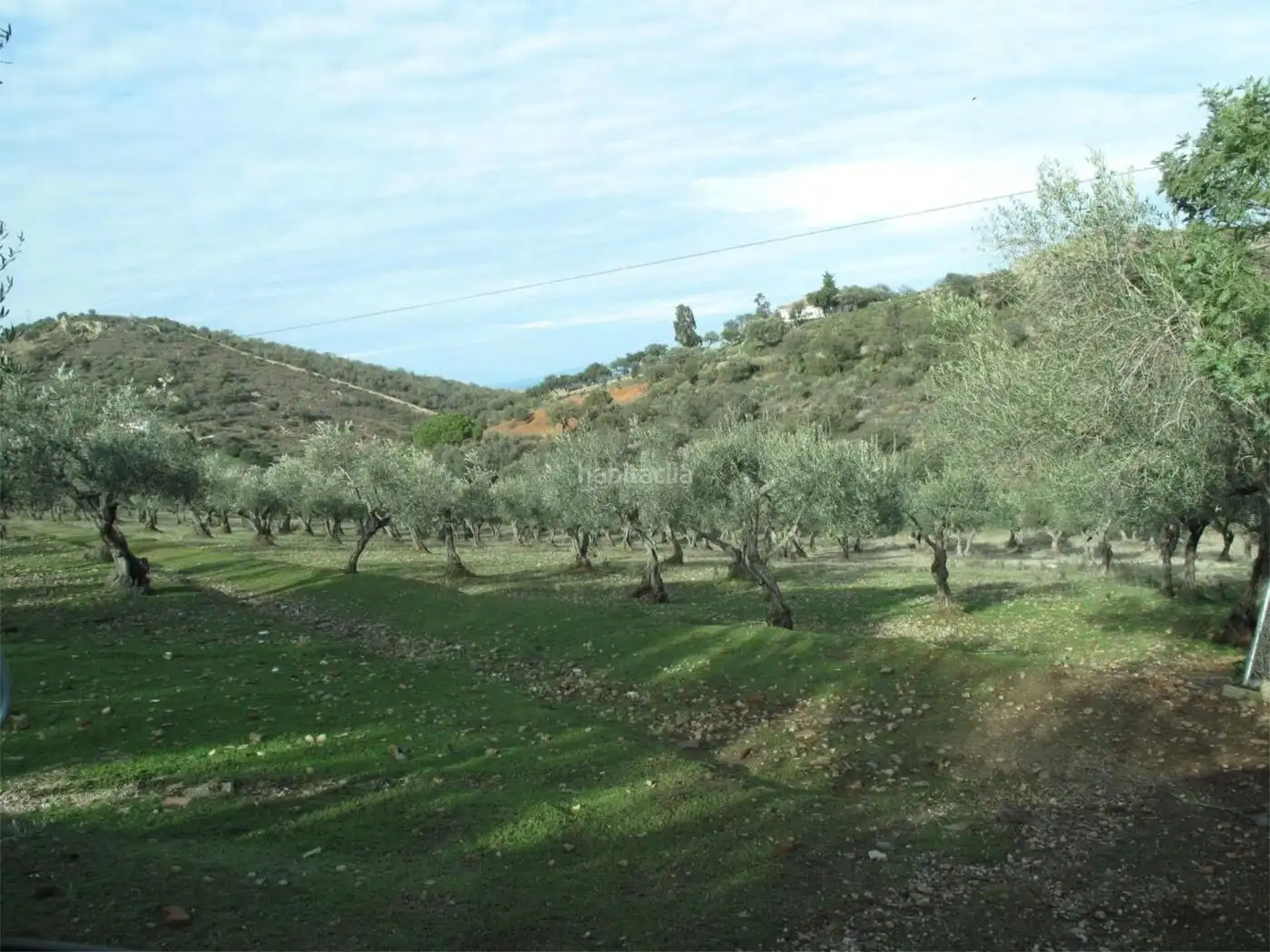 Maison à vendre à Calle de la Sierra de la Montaña 2, imagen 7