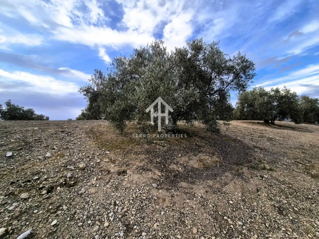 Terreni e lotti in vendita a Huétor Tájar, imagen 13