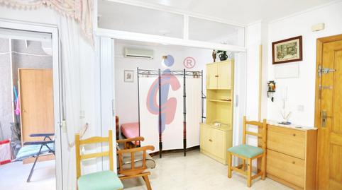 Foto 3 de Estudi en venda a Calle Pintor Antonio López, 4, Las Viñas, Guardamar del Segura