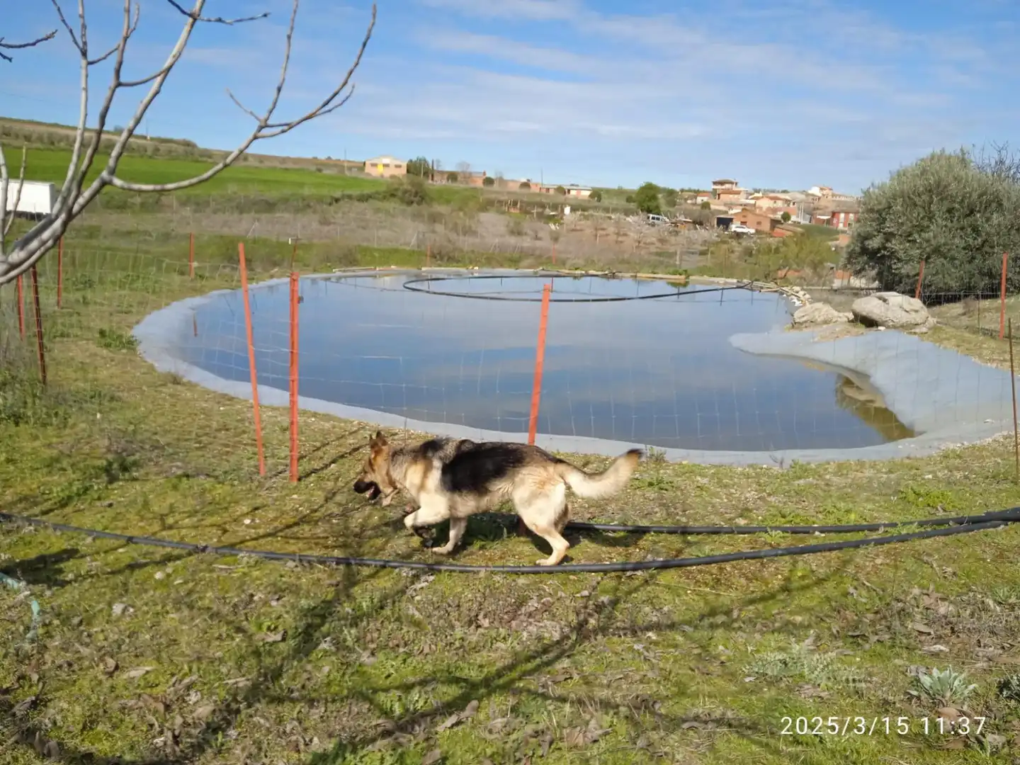 Jardí de Casa o xalet en venda en San Martín de Pusa amb Aire condicionat, Calefacció i Jardí privat