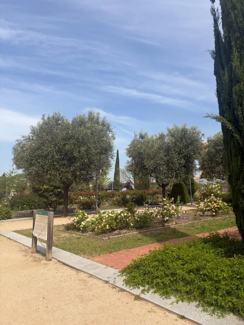 Garden of Duplexes for sale in Sant Feliu de Llobregat  with Heating, Terrace and Storage room