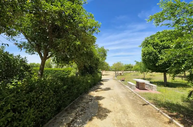 Terreni e lotti in vendita a Calle Jara 2, imagen 11