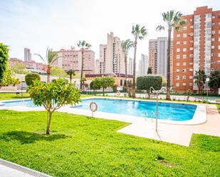 Exterior view of Apartment for sale in Benidorm  with Private garden and Community pool