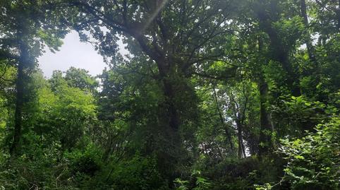 Photo 4 of Residential for sale in Ampuero, Cantabria