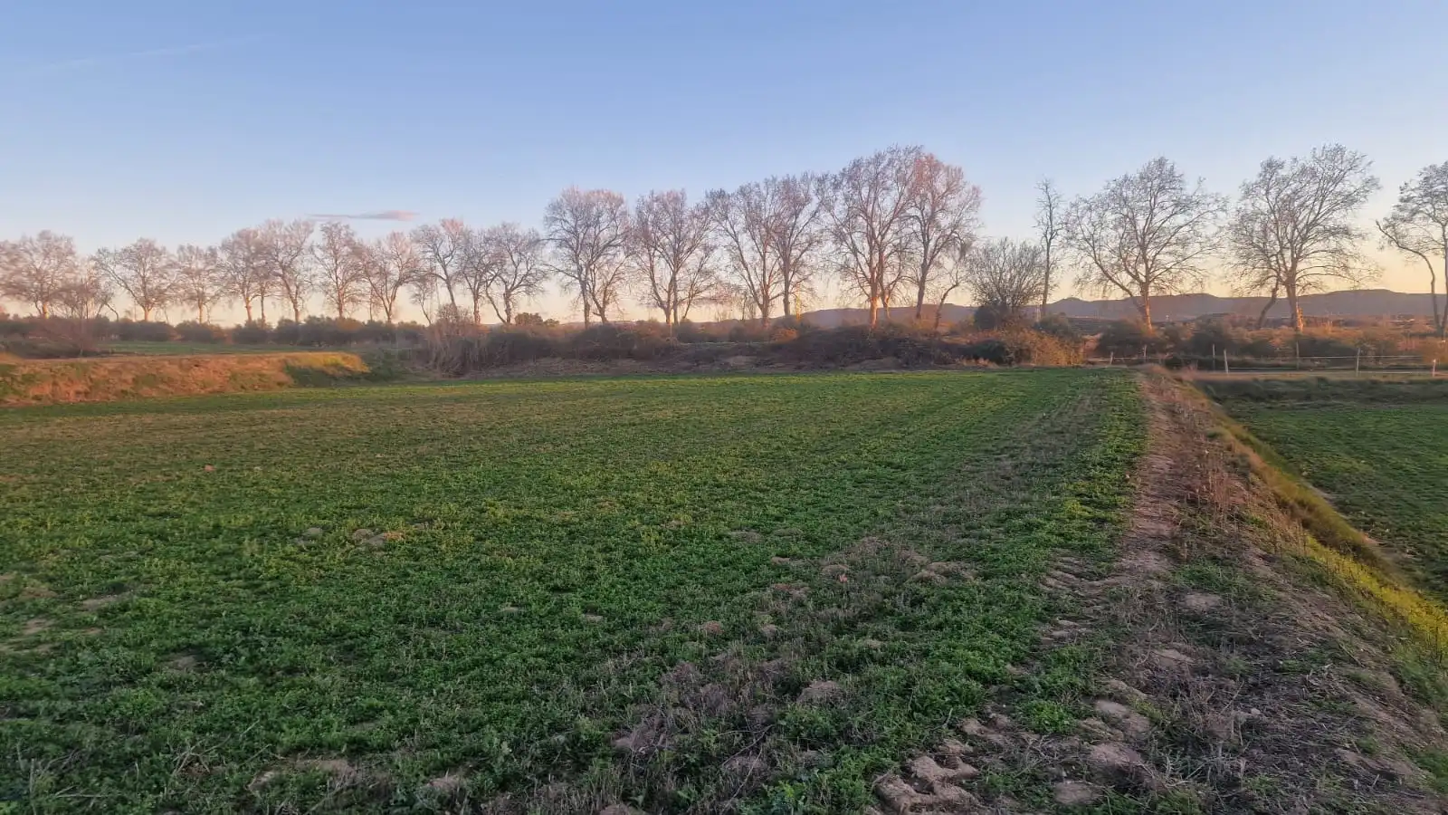Rural land for sale in Juneda, imagen 2