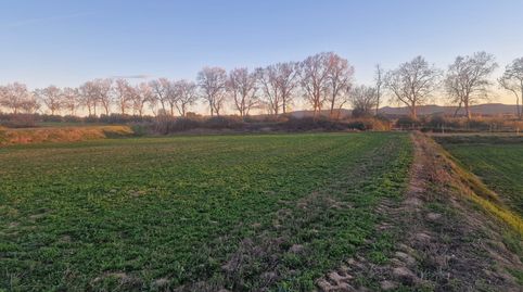 En venda finca rústica de regadiu de 17400 m2 (1’7 ha)  a Juneda (Lleida), imatge 2