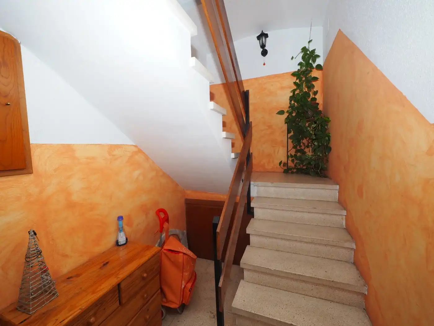 Detached homes for sale in Can Puiggener