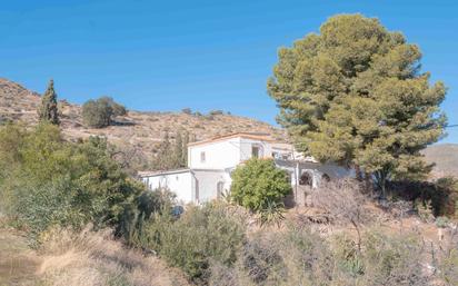 Vista exterior de Casa adosada en venda en Berja amb Jardí privat, Terrassa i Moblat