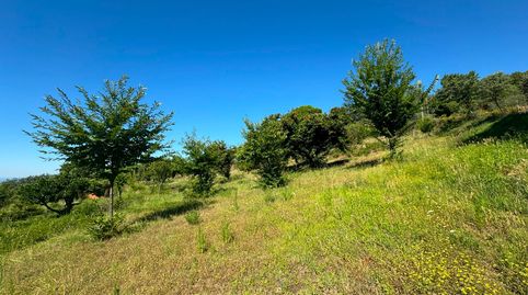 Finca con licencia para 6 apartamentos rurales, immagine 2