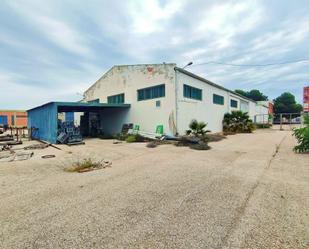 Exterior view of Industrial buildings for sale in Sueca