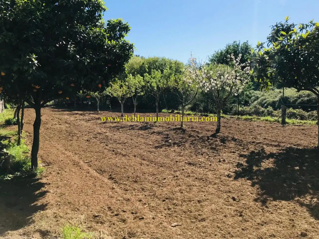 Terreno residencial en venta en Carretera N-50 Polígono 46, Parcela 61, imagen 5