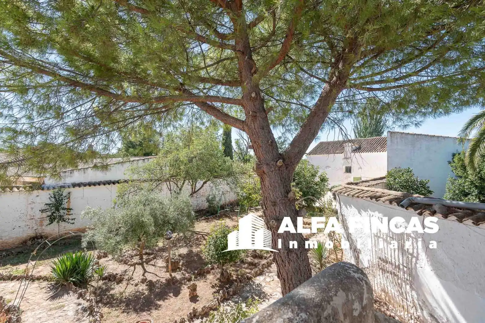 Casa o xalet en venda a CRUZ, 24, Los Hinojosos