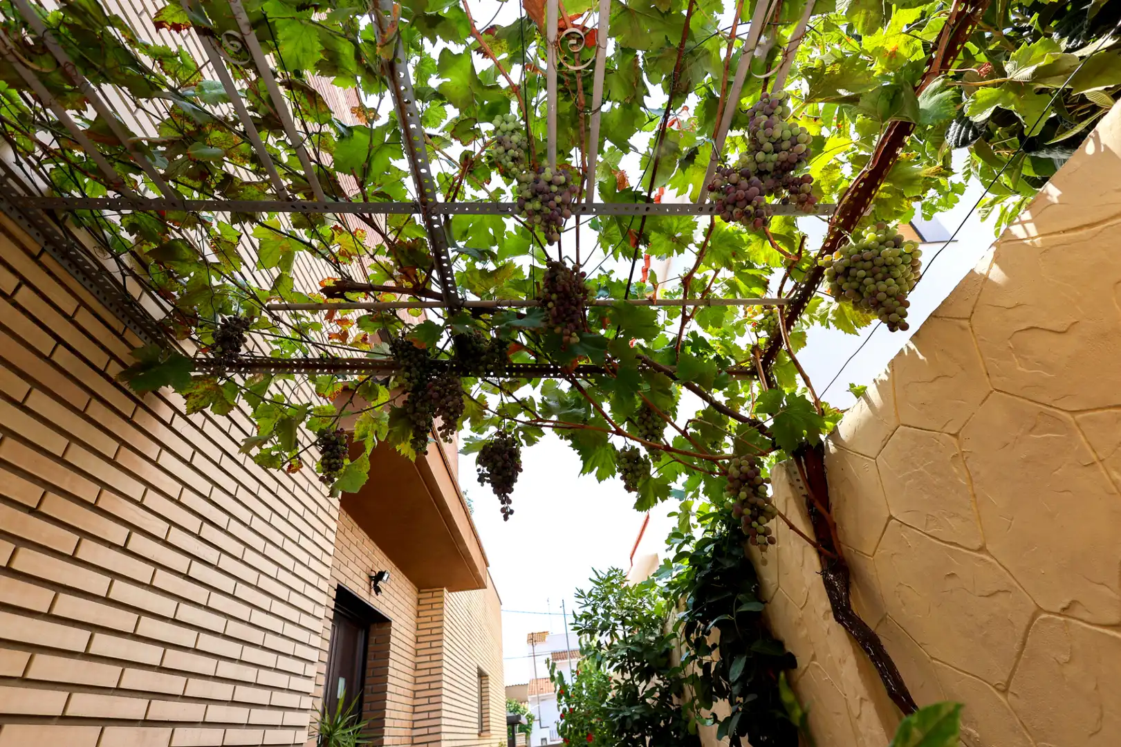 Jardín de Casa o chalet en venta en Viladecans con Aire acondicionado, Calefacción y Jardín privado
