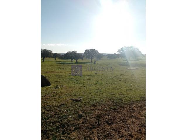 Casa-chalet en Venta en Poligono 42 Paraje 180 Manzano en Trujillo