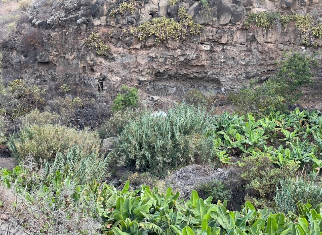 Garten von Grundstücke zum verkauf in Teror