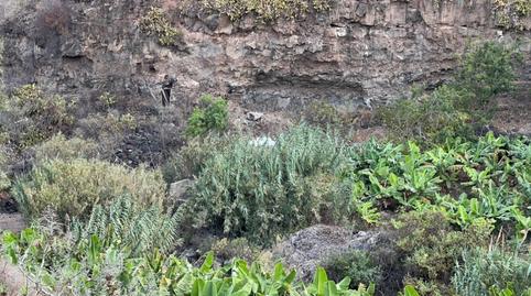 Foto 3 de Terreno en venta en Camino Hoya Olivares, El Palmar, Teror