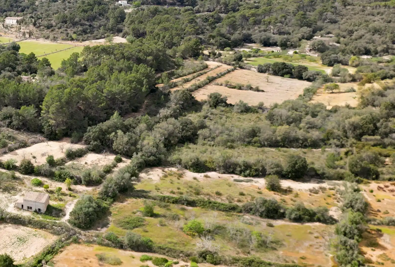 Terreno rustico in vendita a Llucmajor pueblo, imagen 13