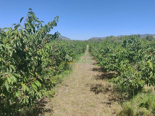 Terreno en Venta en Garcia