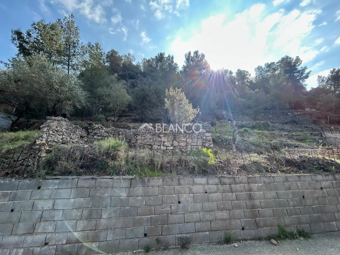 Terreny residencial en venda a Corbera de Llobregat, imagen 4