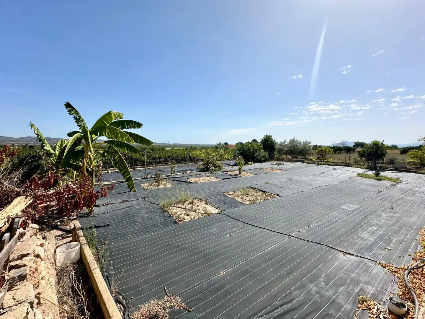 Casa o xalet en venda en Carlet amb Jardí privat, Terrassa i Traster