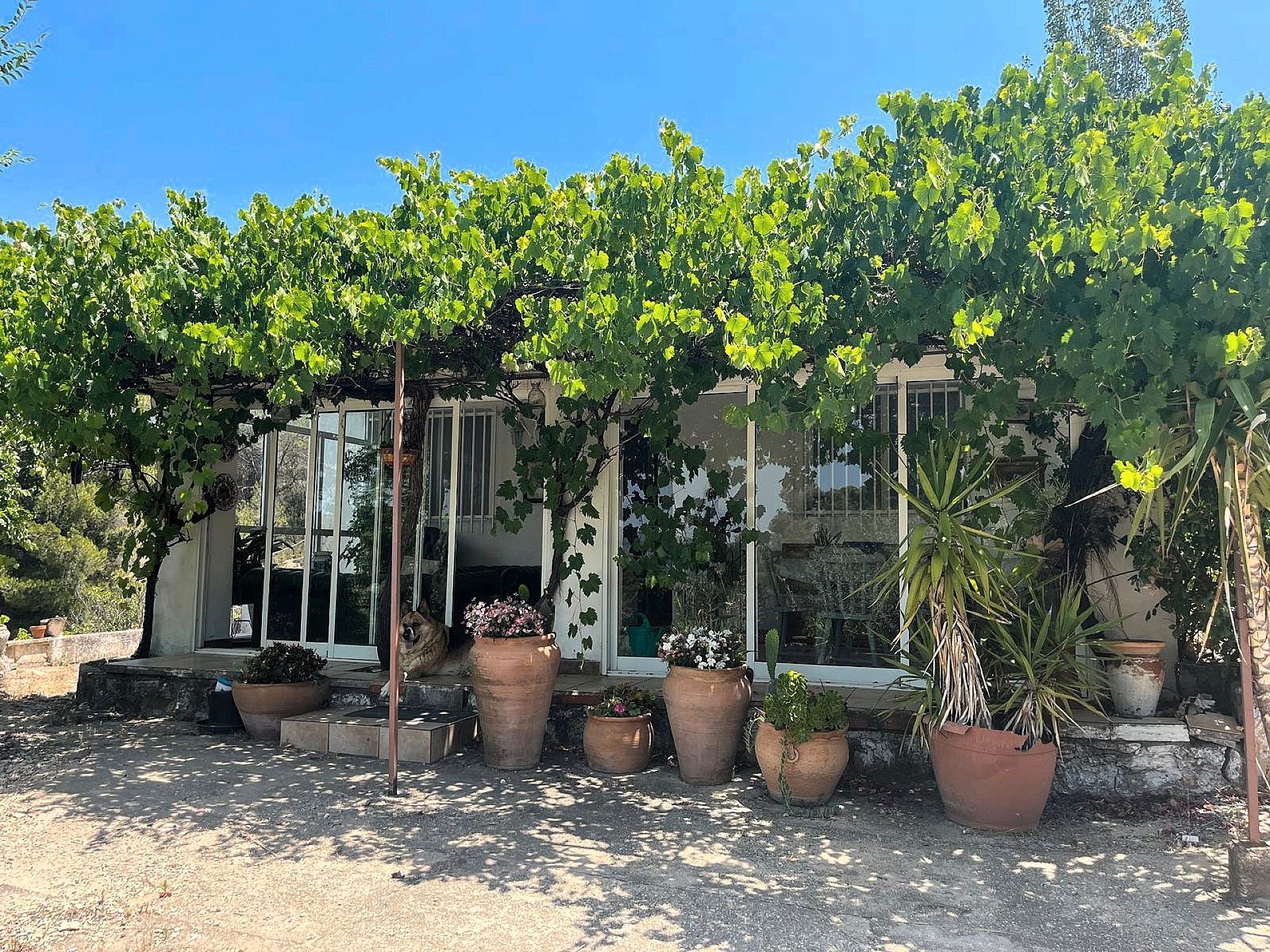 Exterior view of House or chalet for sale in Ibi  with Private garden, Swimming Pool and Furnished