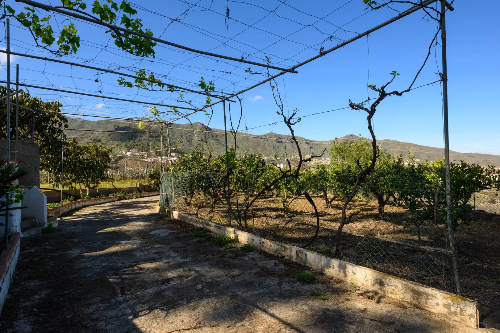 Jardí de Casa o xalet en venda en Valsequillo de Gran Canaria amb Jardí privat i Terrassa