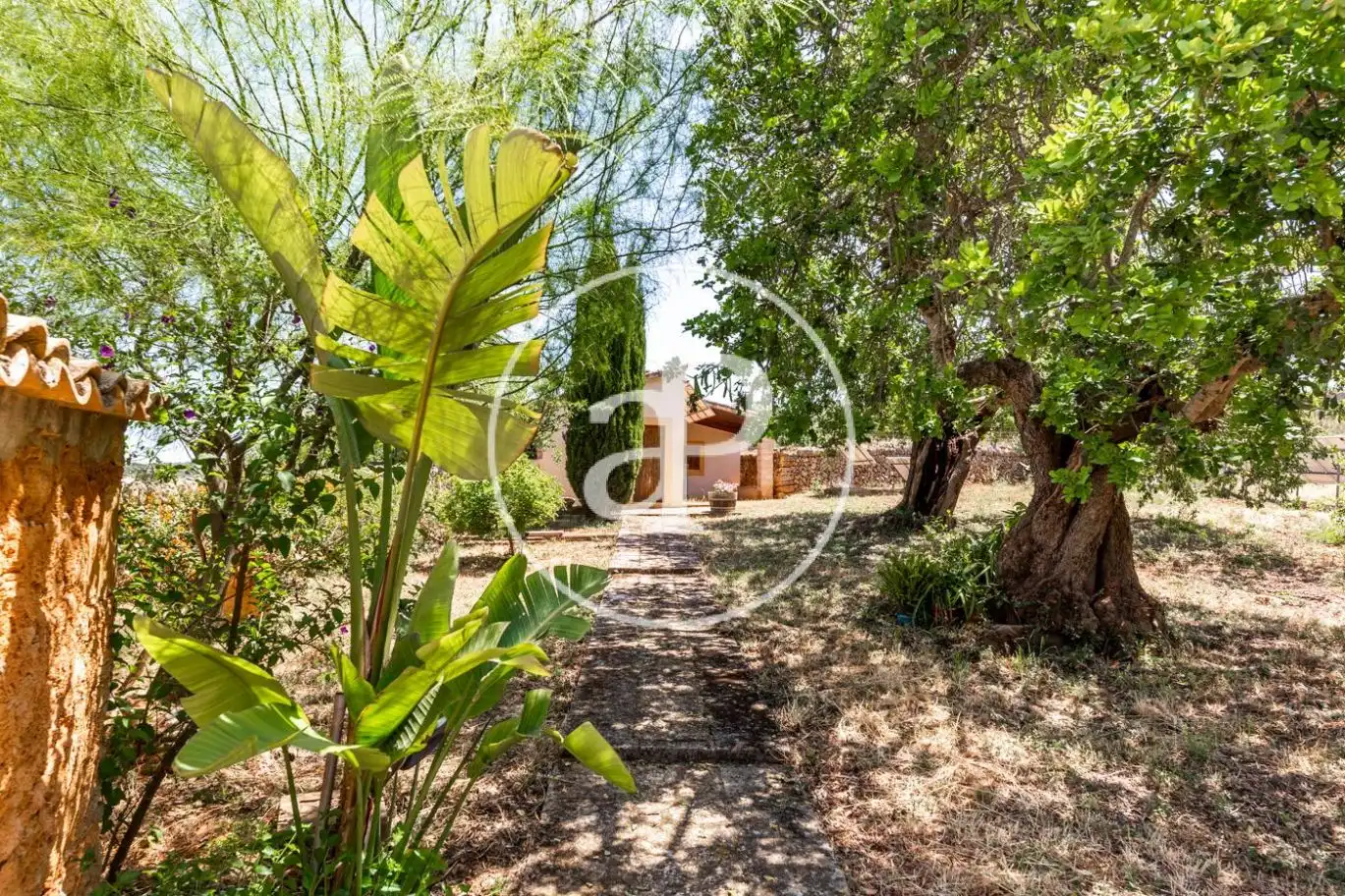 Jardí de Casa o xalet en venda en Manacor amb Calefacció, Jardí privat i Terrassa
