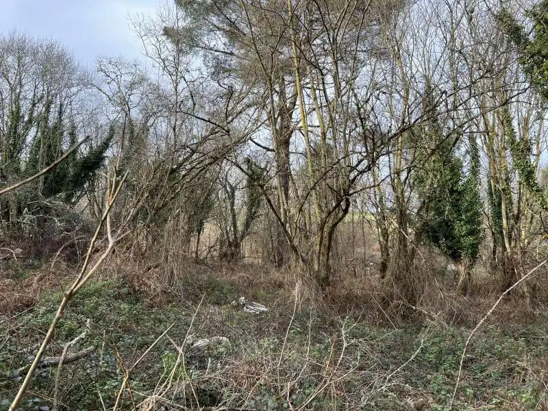 Terreni e lotti in vendita a Parroquias Norte, imagen 5