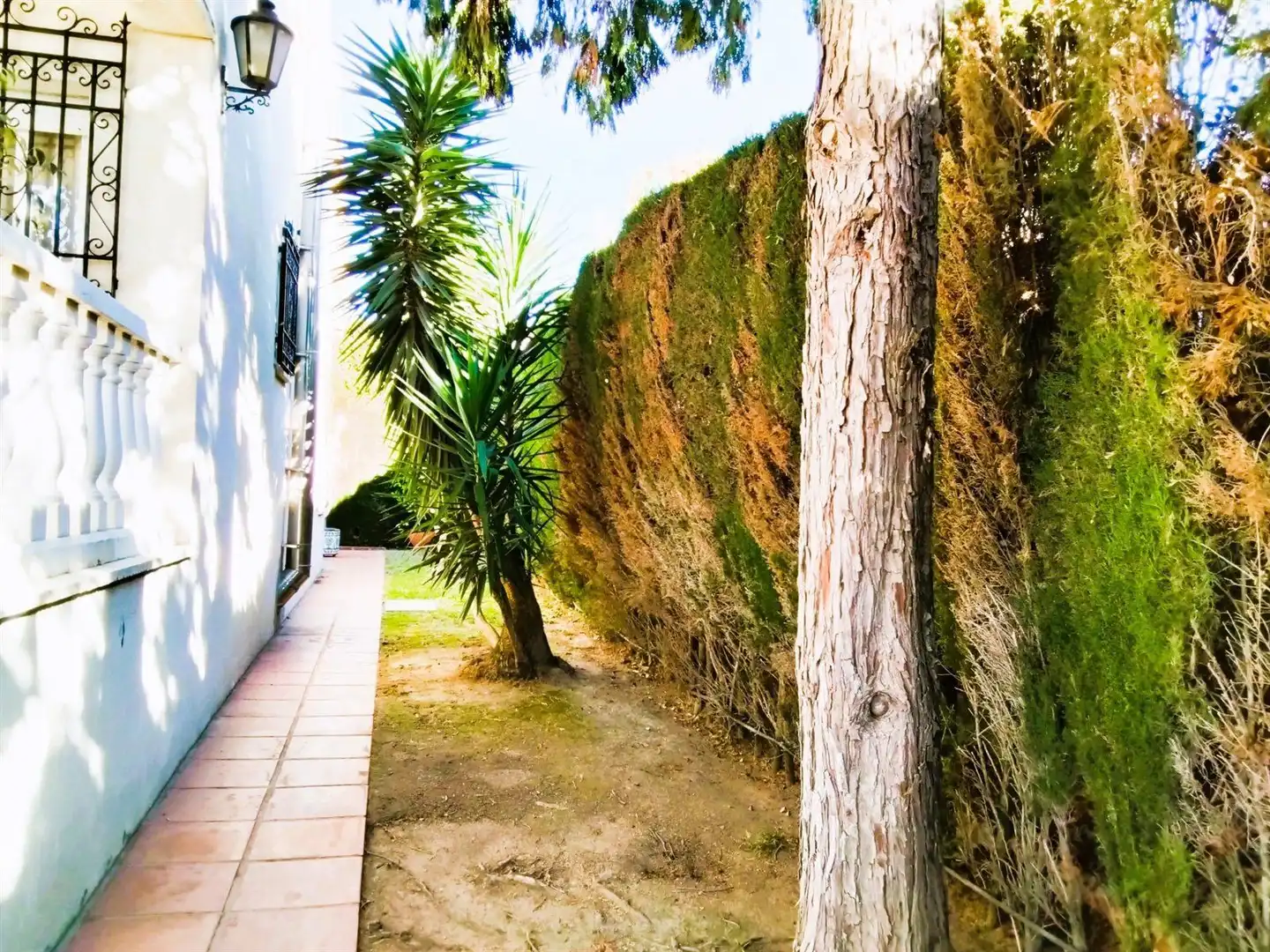 Villa avec piscine à vendre à HIPOCRATES, imagen 64