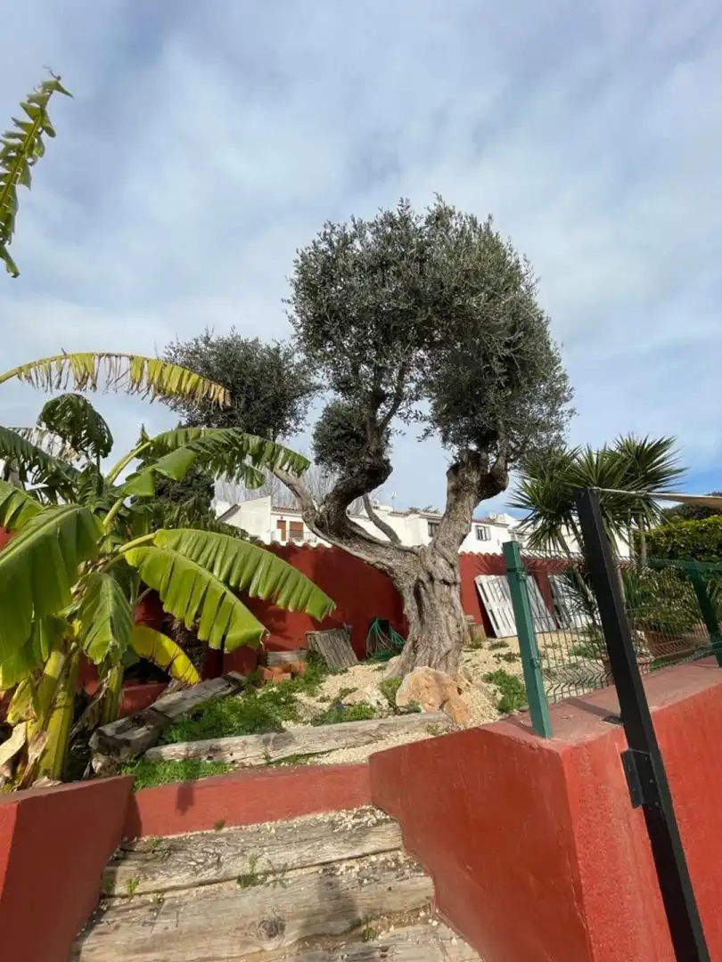 Jardín de Apartamento en venta en La Nucia con Terraza y Amueblado