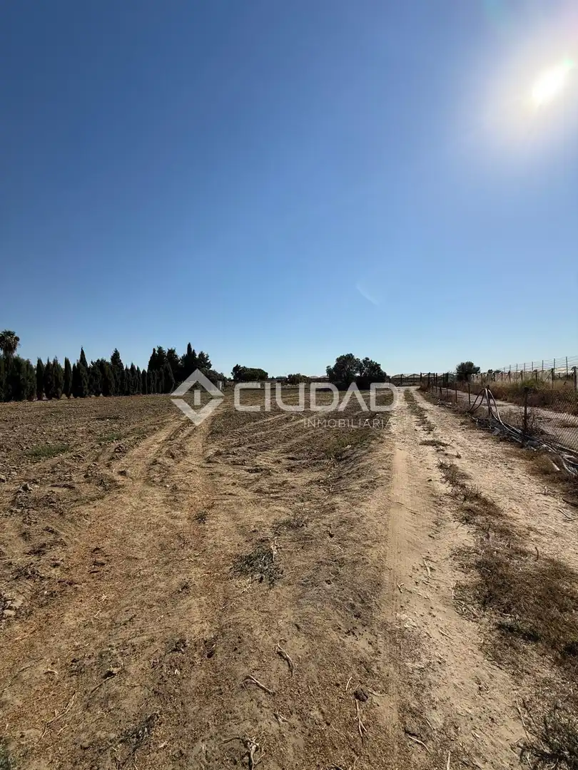 Terreny residencial en venda a Chipiona Norte, imagen 10