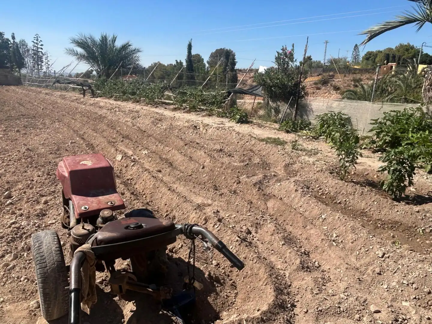 Finca rústica en venda en Crevillent amb Calefacció, Terrassa i Traster