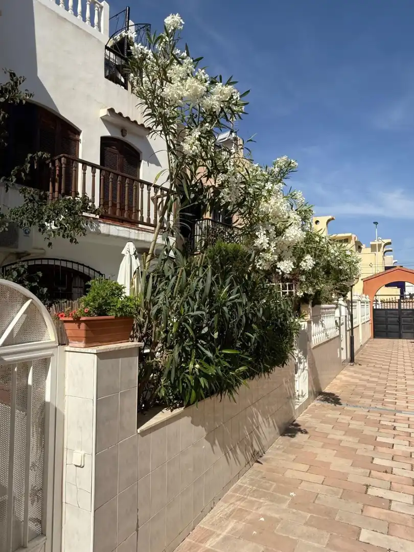 Vista exterior de Casa adosada en venda en Torrevieja amb Aire condicionat, Terrassa i Traster