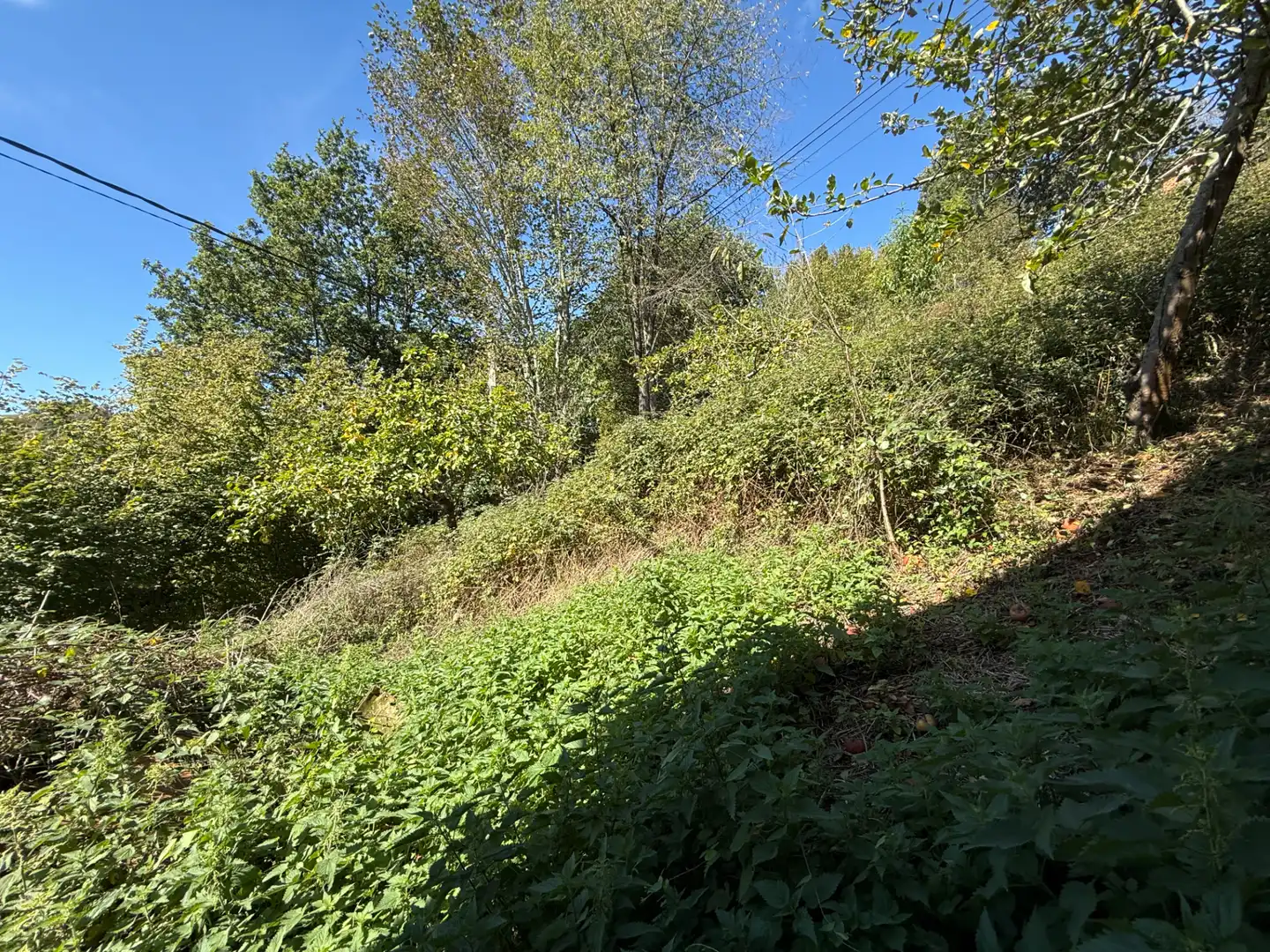 Maison avec jardin à vendre à Lugar el Carbayu, imagen 32