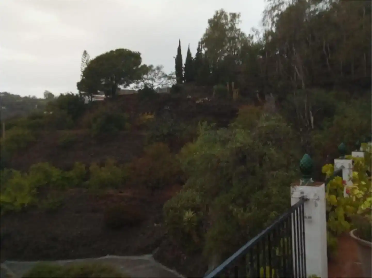 Garden of Flat for rent in Cómpeta  with Air Conditioner, Private garden and Swimming Pool