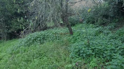 Photo 5 of Country house for sale in O Pereiro de Aguiar , Ourense