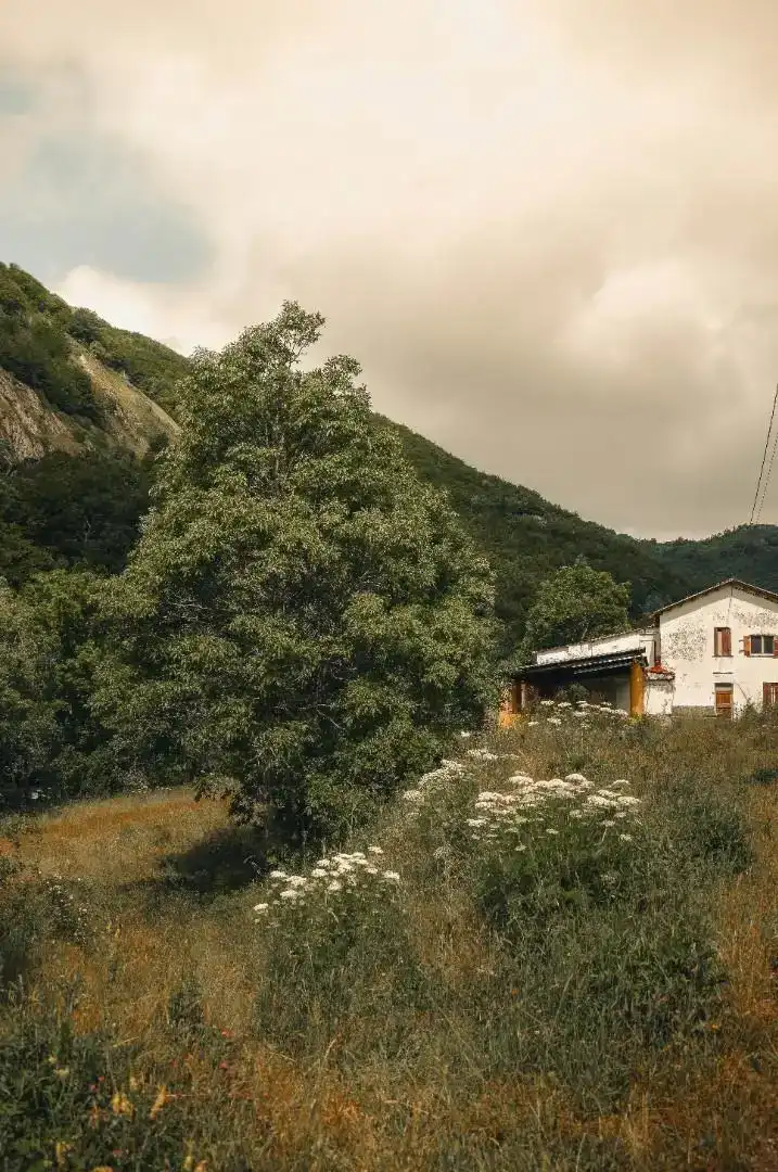 Vista exterior de Casa o chalet en venta en Cármenes