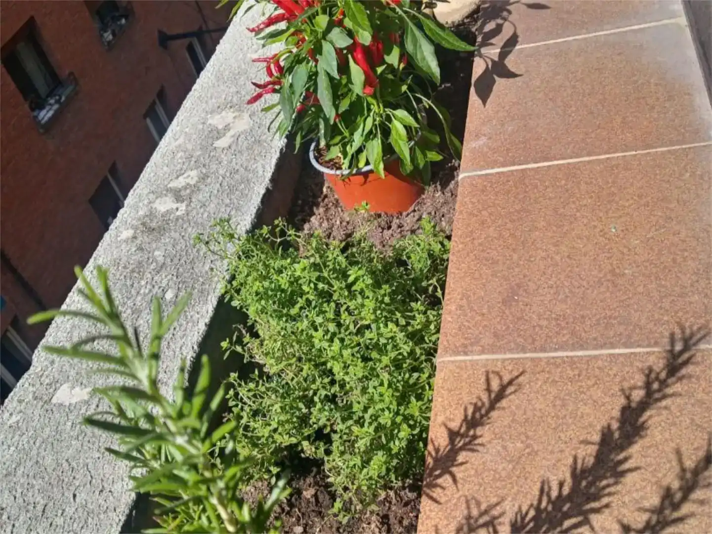 Terrasse von Maisonette zum Verkauf in  Logroño mit Parkett und Abstellraum