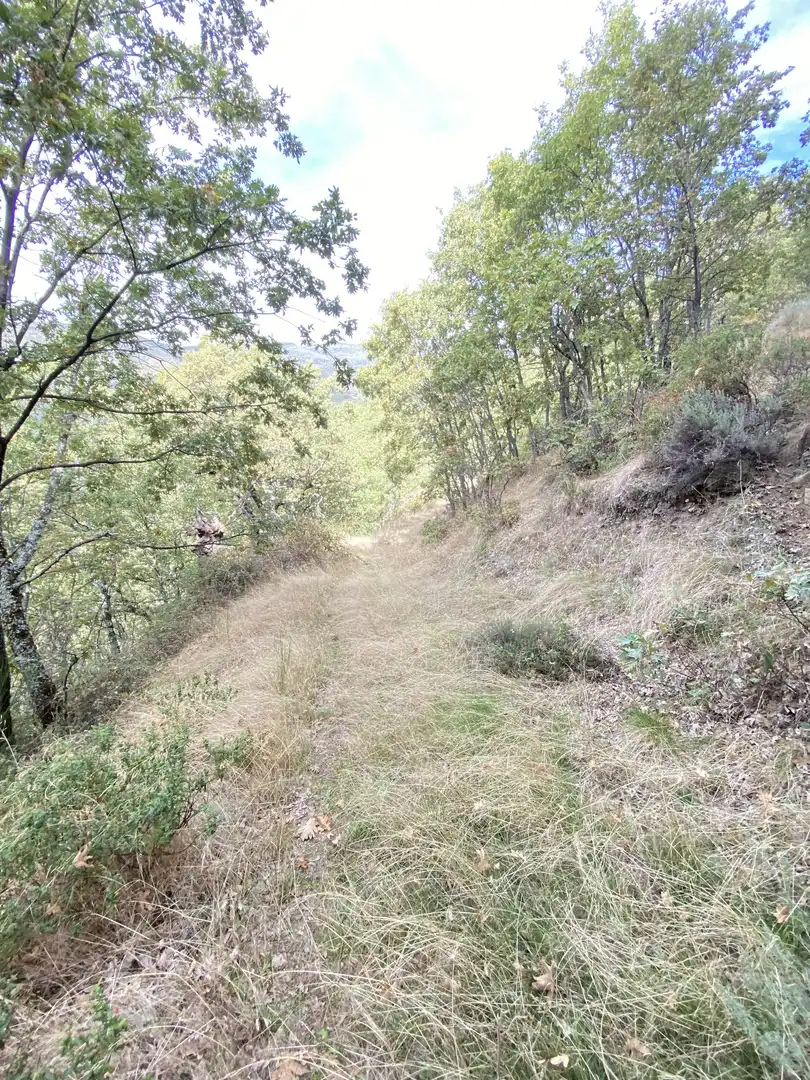 Terreno en venta en Tornavacas