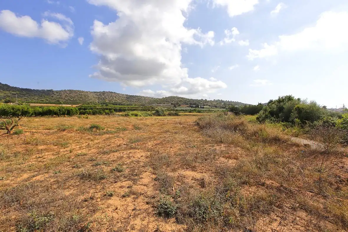 Rural land for sale in Alcanar, imagen 10