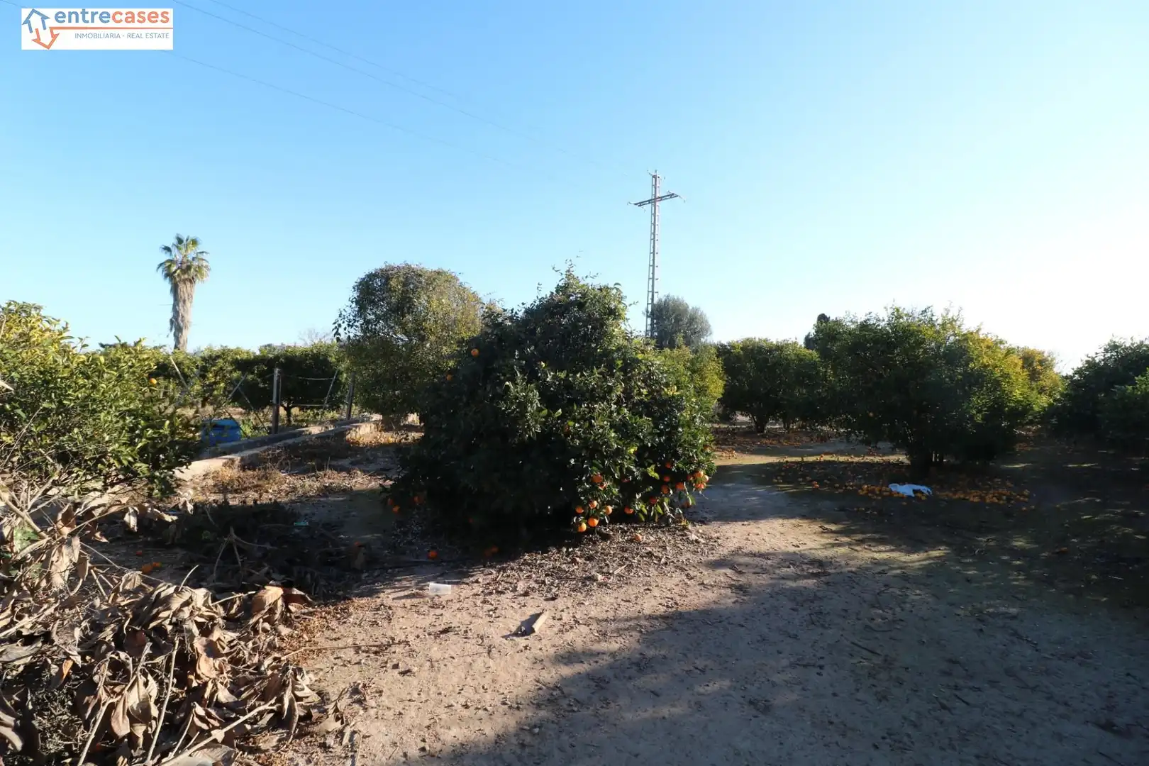Rural land for sale in Canet d'En Berenguer, imagen 15