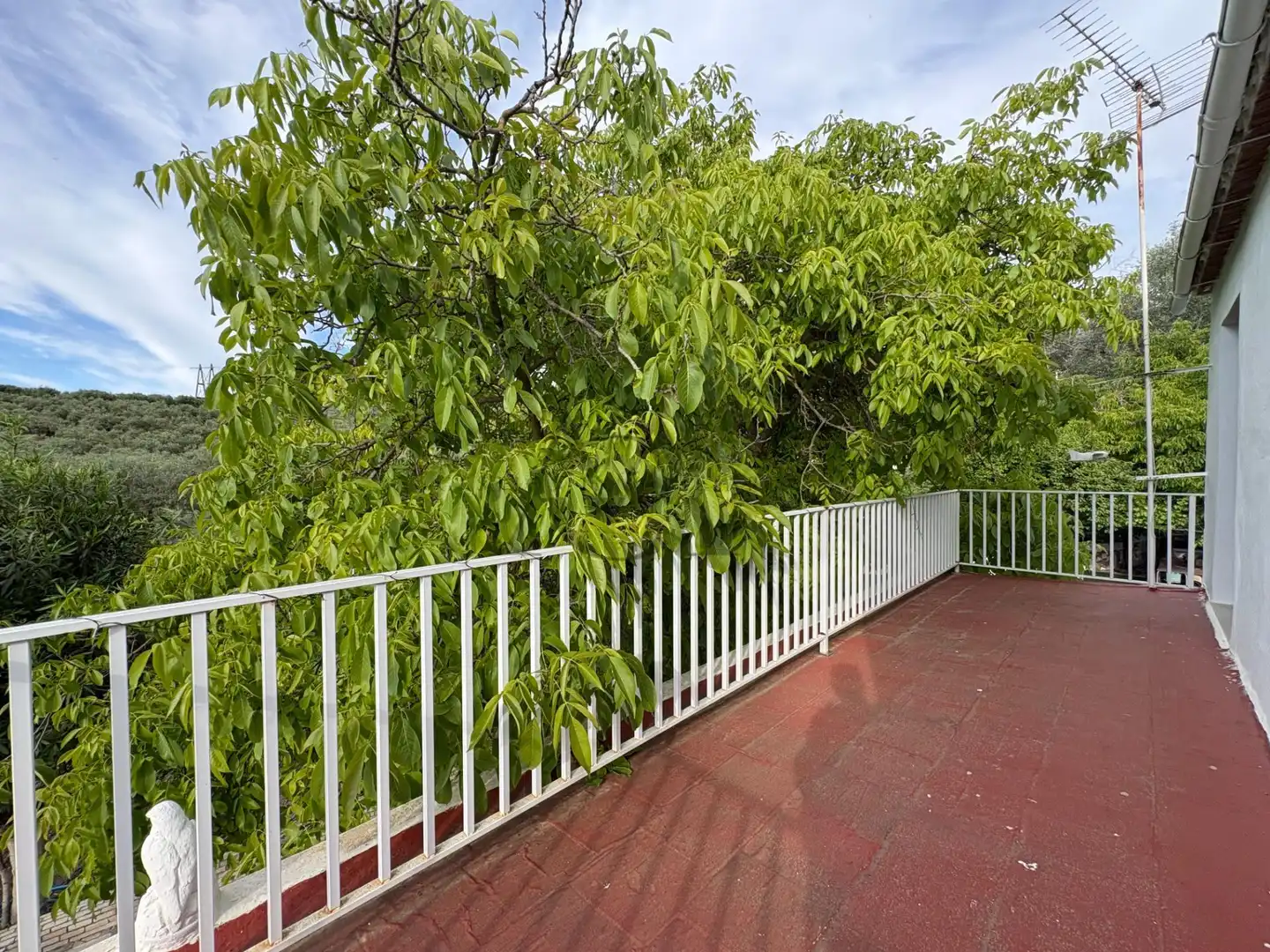 Terrasse von Haus oder Chalet zum Verkauf in Lucena mit Privatgarten, Abstellraum und Schwimmbad