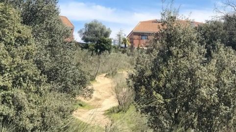 Foto 3 de Finca rústica en venda a M-505, 10, La Cañadilla, Las Rozas de Madrid