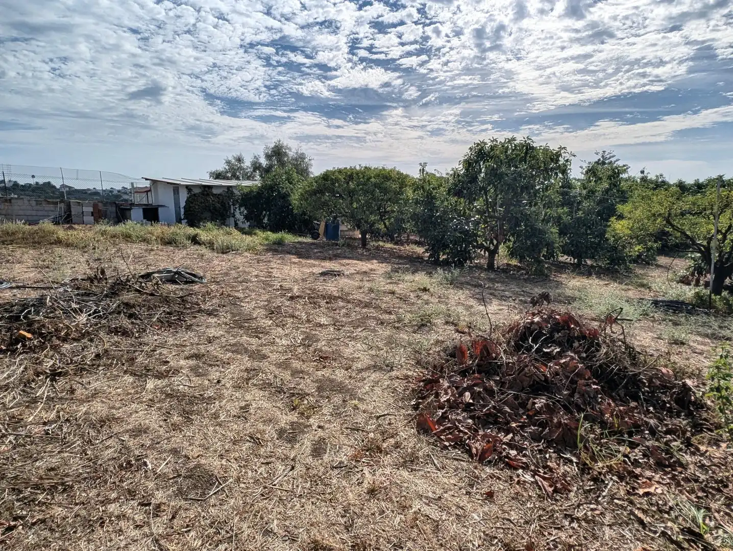 Country homes for sale in Punta Plata